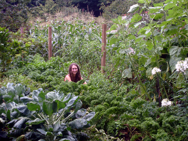 Joe Jenkins Garden humanue compost garden