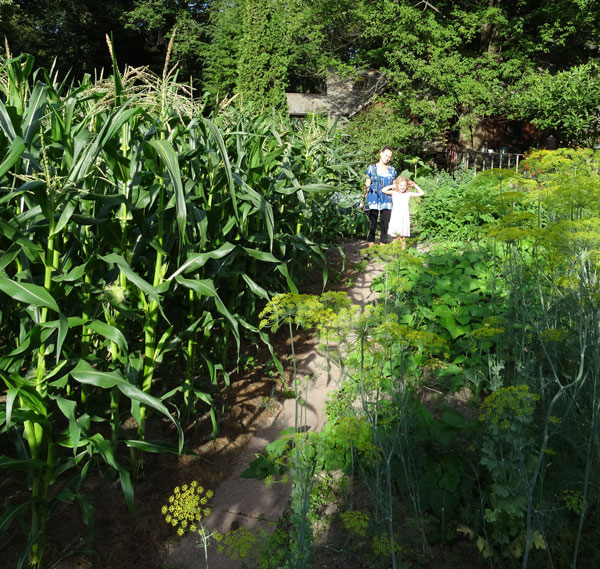 Joe Jenkins Garden humanure composted garden